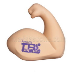 Antistress biceps musculation