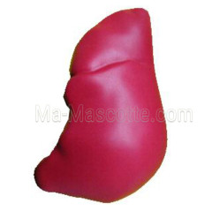 Antistress organe humain mousse