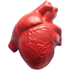 Antistress organe coeur en mousse