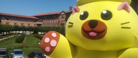 mascotte ours tasse