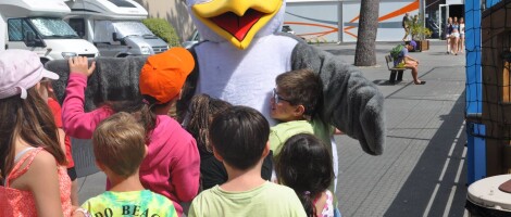 mascotte oiseau club enfants