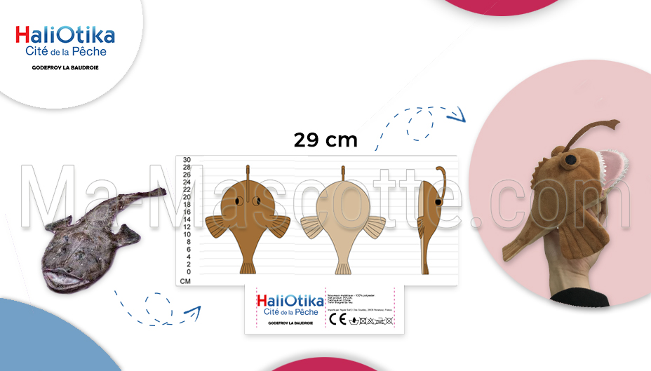 Peluche personnalisée sur mesure d'un poisson de chez HaliOtika