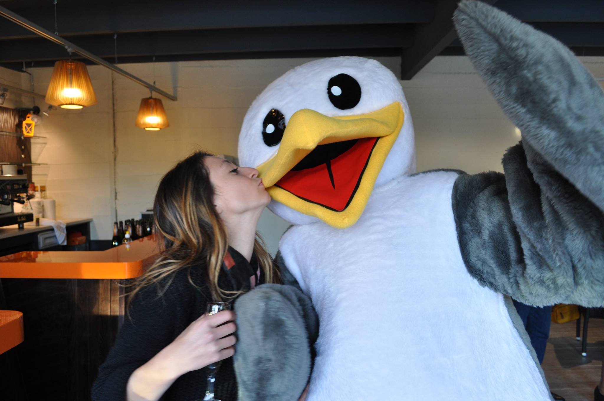 mascotte oiseau dans un bar