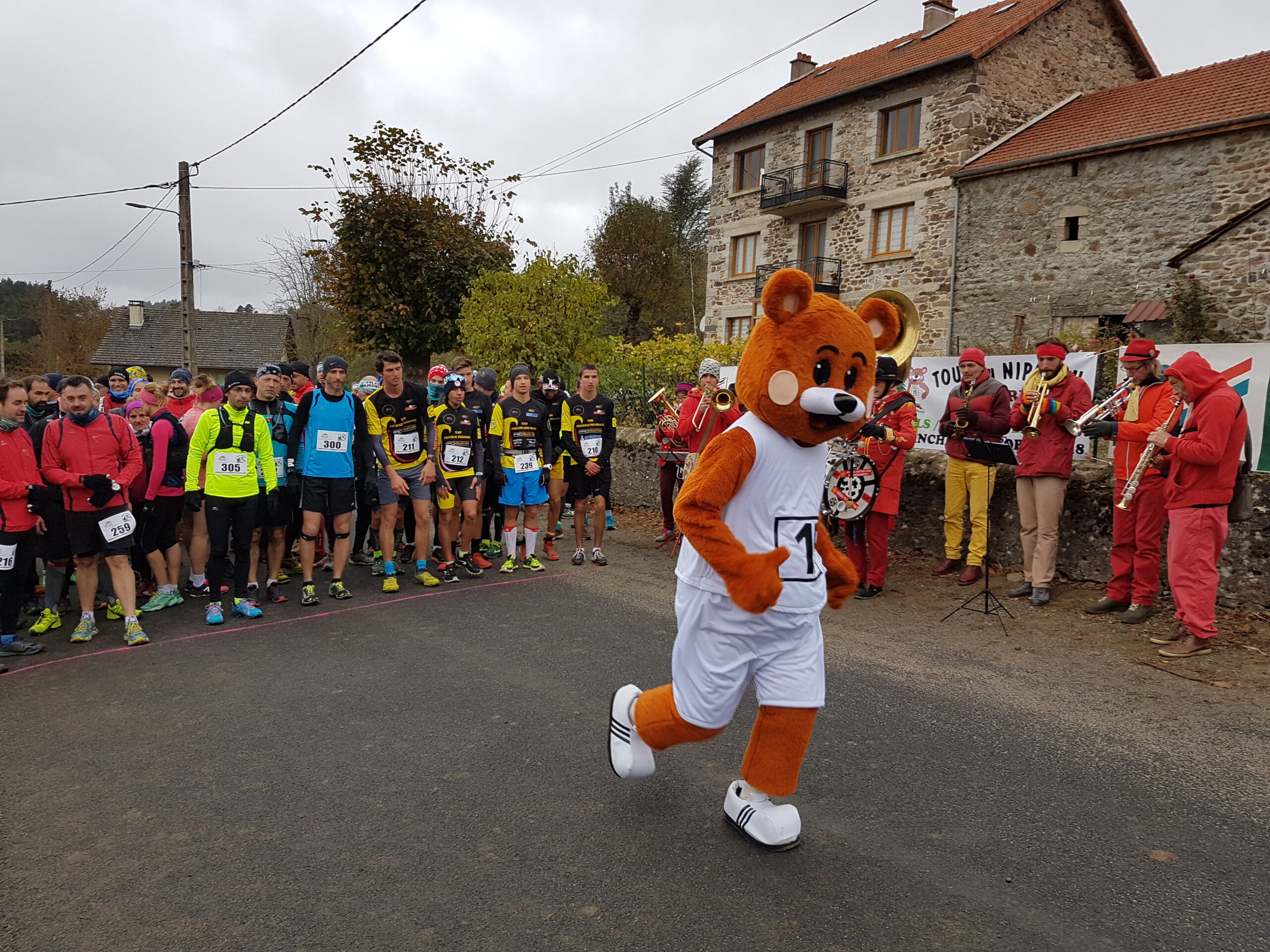 mascotte course à pied ours