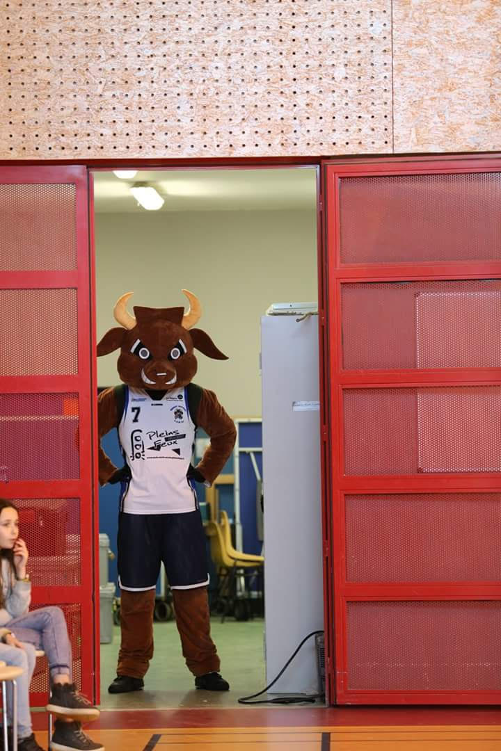 mascotte taureau supporter basket